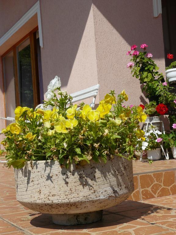 Hejo Apartman Miskolc Exterior photo