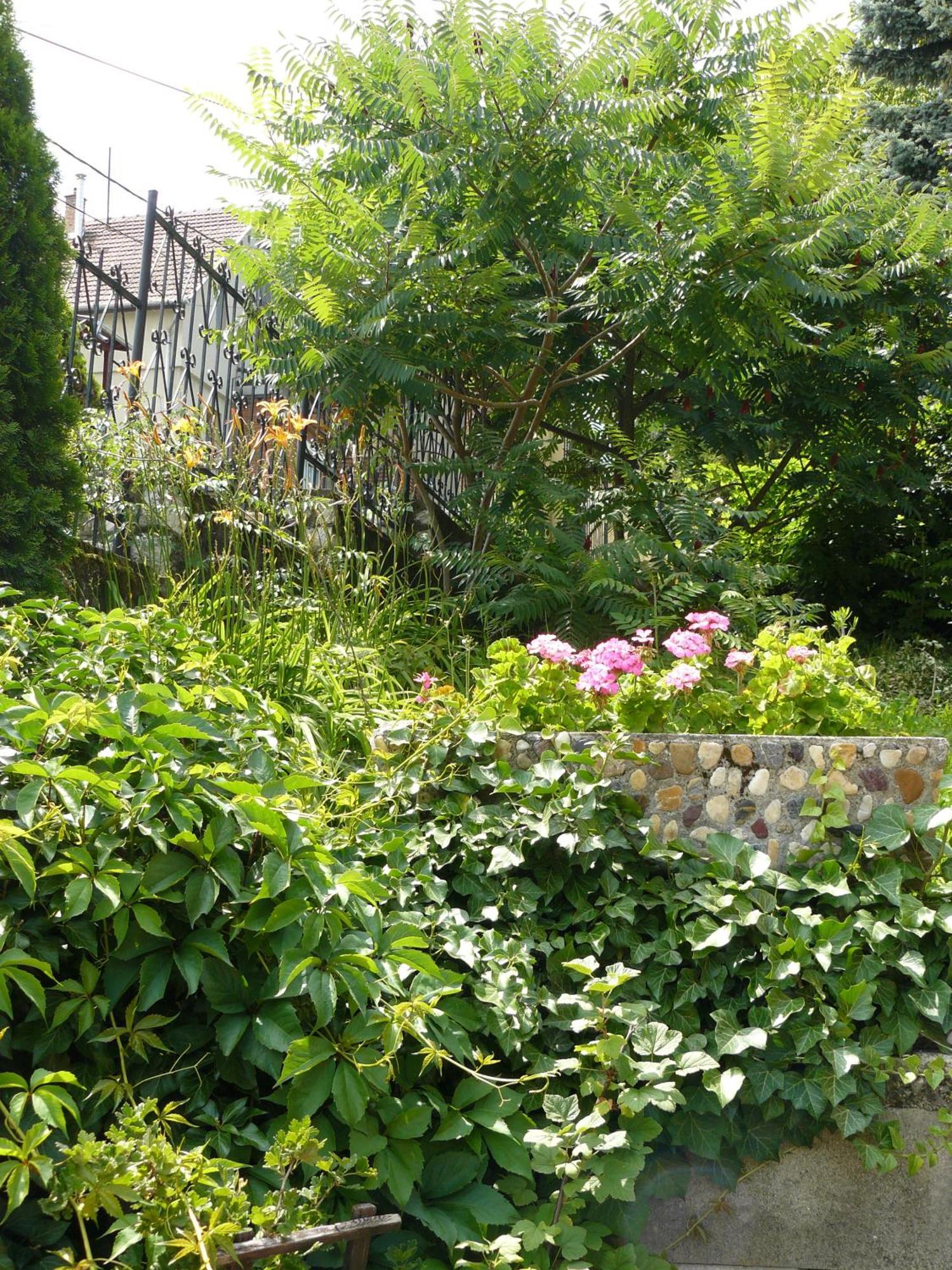 Hejo Apartman Miskolc Exterior photo